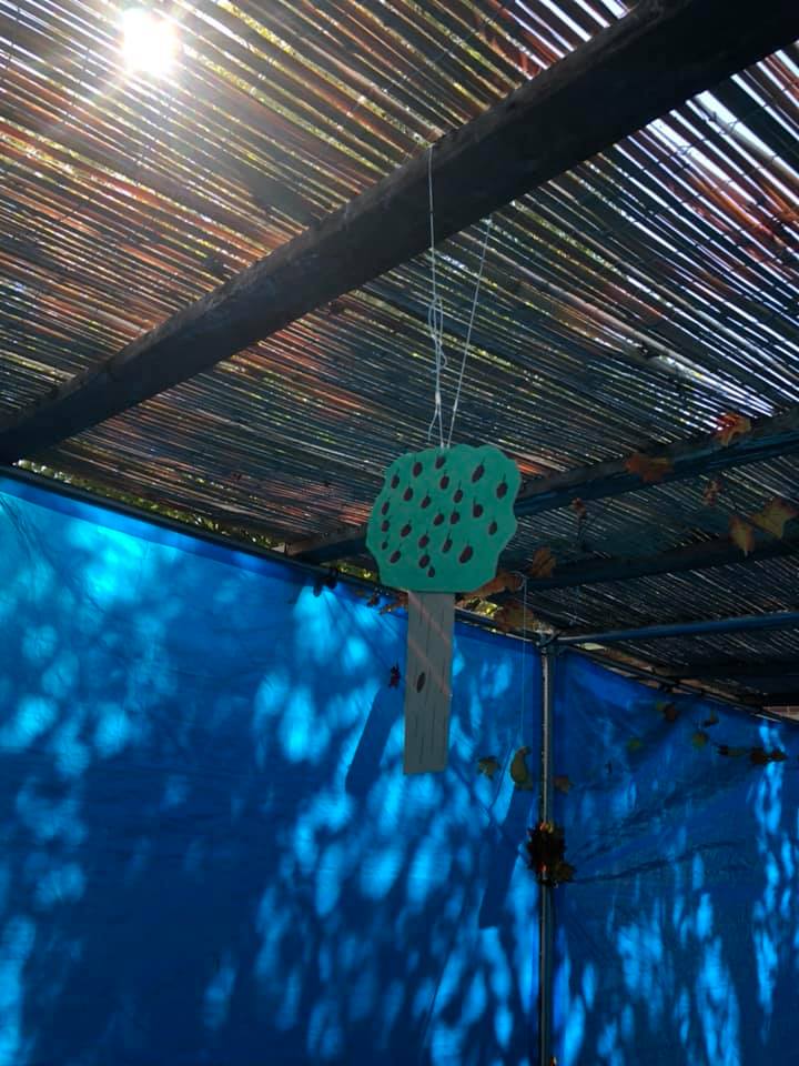 42340562_2018558611528468_4358935237531533312_n