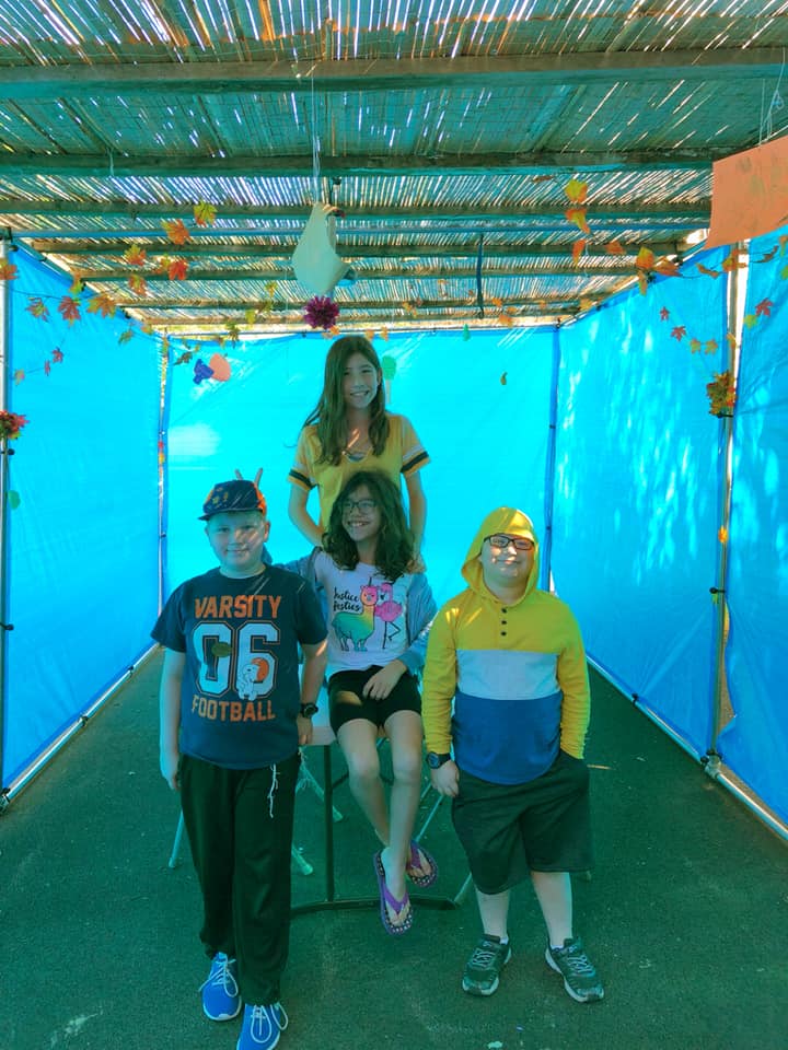 42435573_2018558464861816_7956724539893743616_n