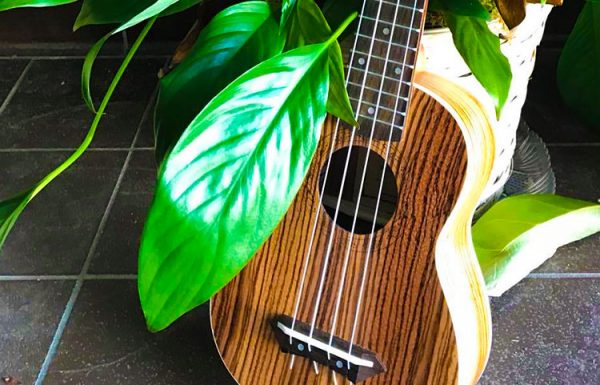 HAWAIIAN EREV SHABBAT, WINTER PICNIC BBQ