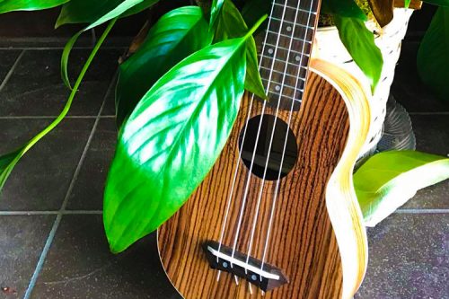 Congregation Shir Shalom