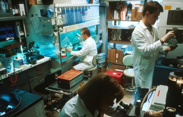 Part-Israeli Owned Elicio Therapeutics Enters Covid-19 Vaccine Race, Reports Success in Pre-Clinical Trials