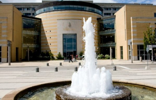 York University Reinstates Both Pro-Israel, Anti-Israel Student Groups After Clash