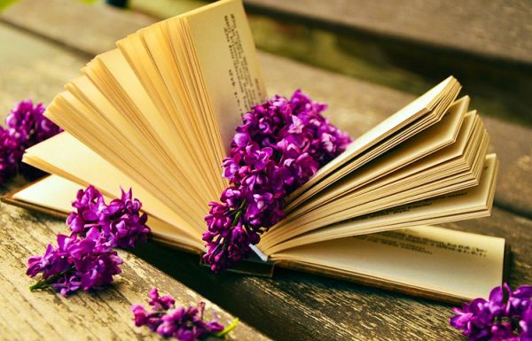 4 GREAT EVENTS THIS WEEK AT JCC ARTS AND BOOK FAIR