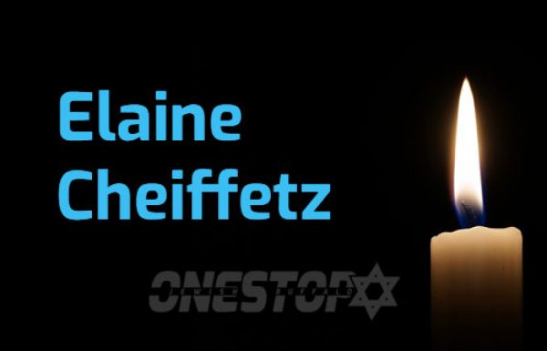 ELAINE CHEIFFETZ