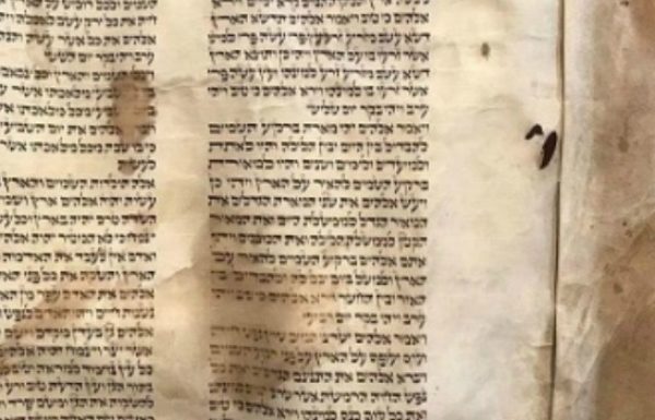 Remembering the Great Jewish Historian Gertrude Himmelfarb